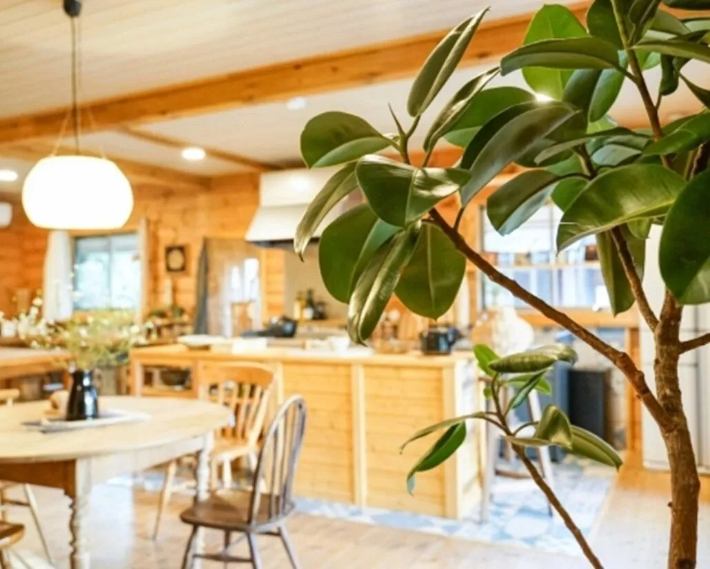 リフォームイメージ画像