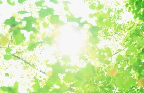 内窓 T・CRAFTヤマトシ